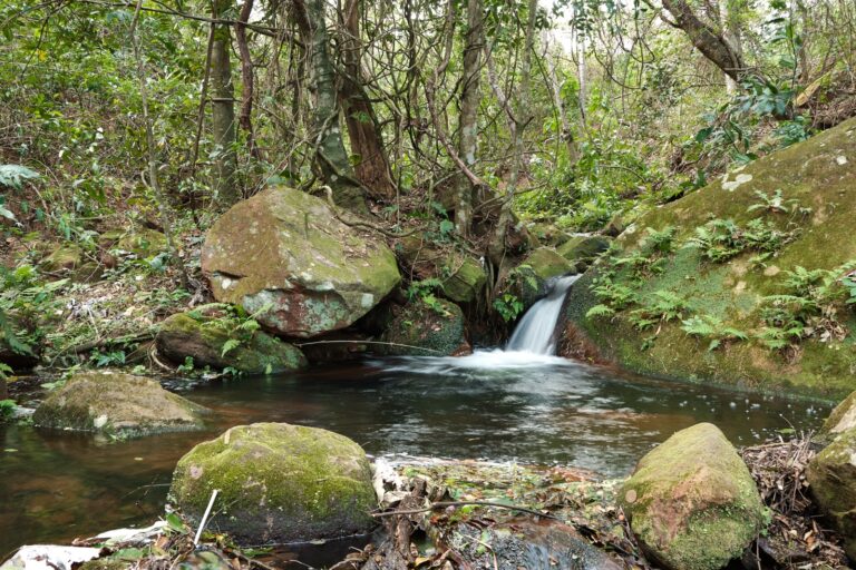Velo de la novia Poza de la Sirena