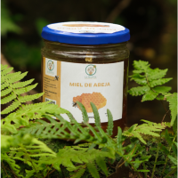 Picture of miel africana