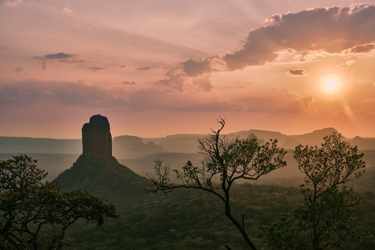 Por qué el precámbrico