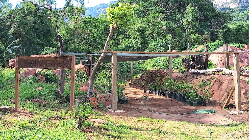 Vivero