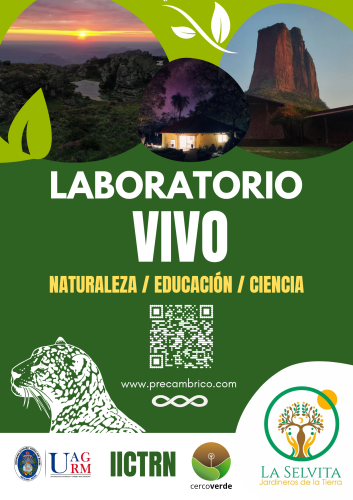 Cartel Vertical Planeta Naturaleza Fotográfico Orgánico Verde_20250721_213410_0000