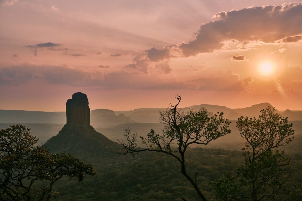 Por qué el precámbrico